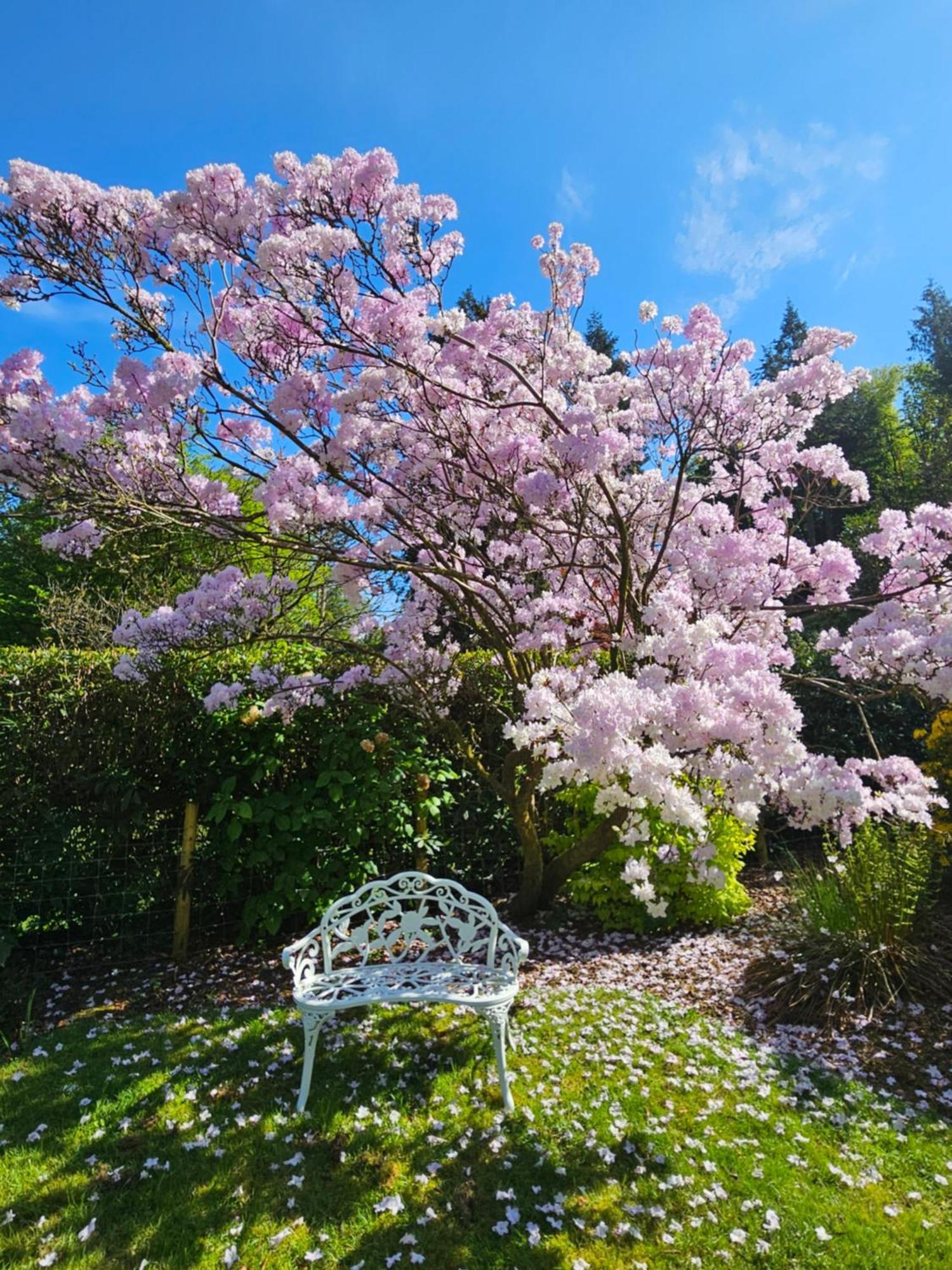 Foxghyll Country House Bed & Breakfast Ambleside Bagian luar foto