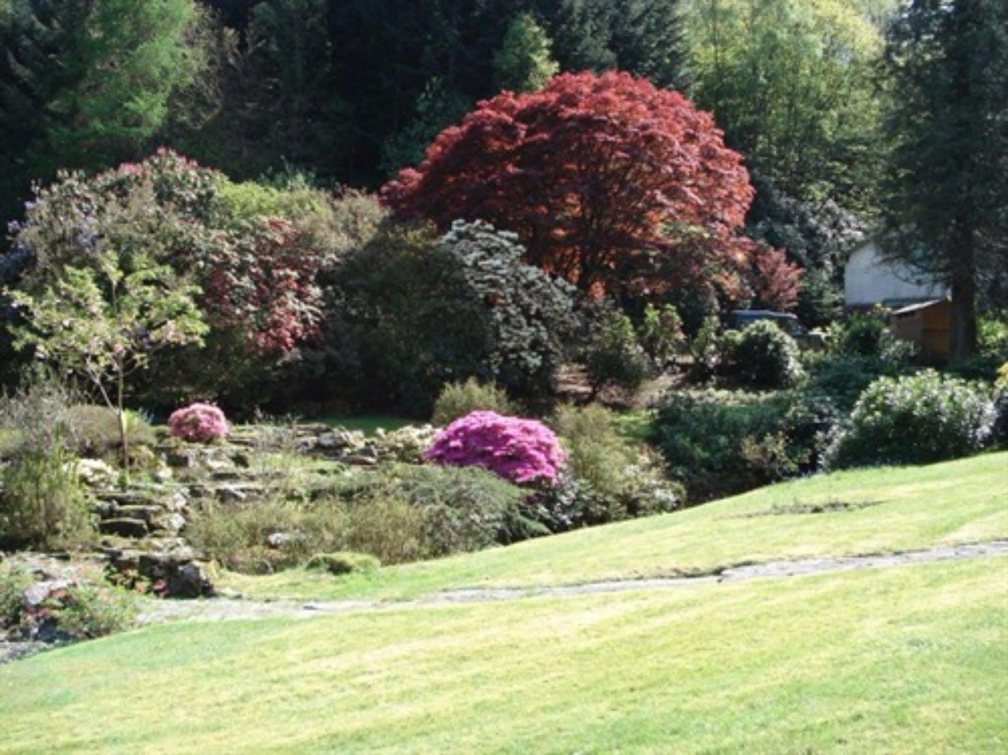 Foxghyll Country House Bed & Breakfast Ambleside Bagian luar foto